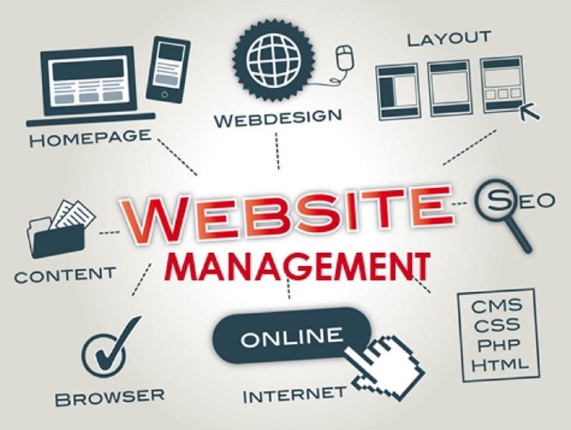 7 Essential Website Management Services for Sydney Businesses